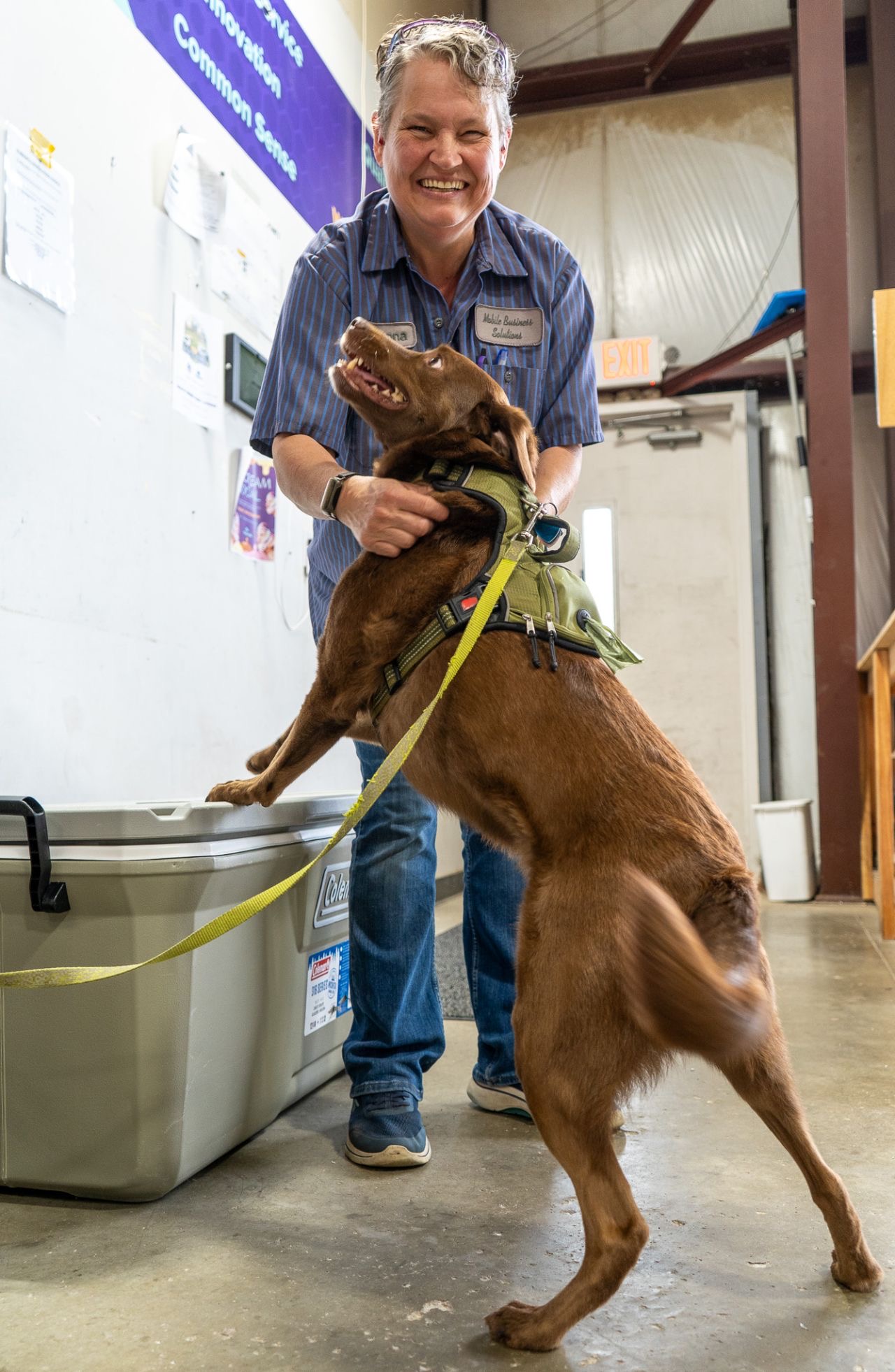 Life at Wag'n Tails: Dog Friday