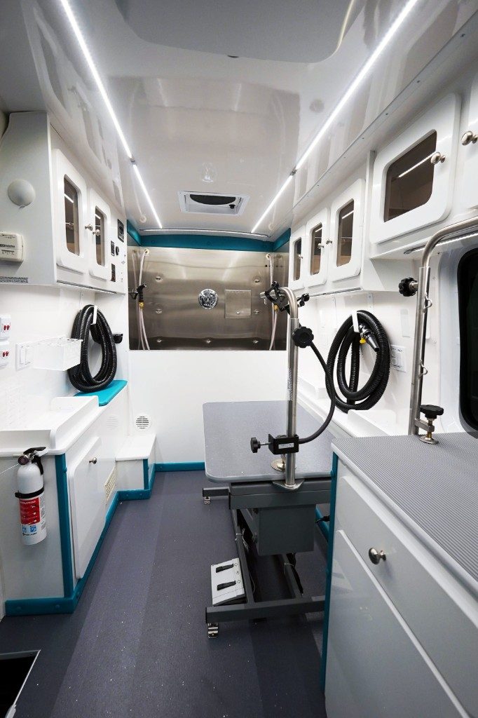 Supreme Groom salon interior looking toward the bathing tub with teal accents