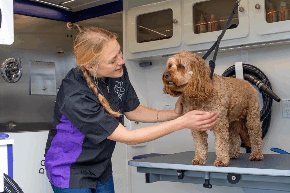 Mobile groomer with Wag'n Tails van