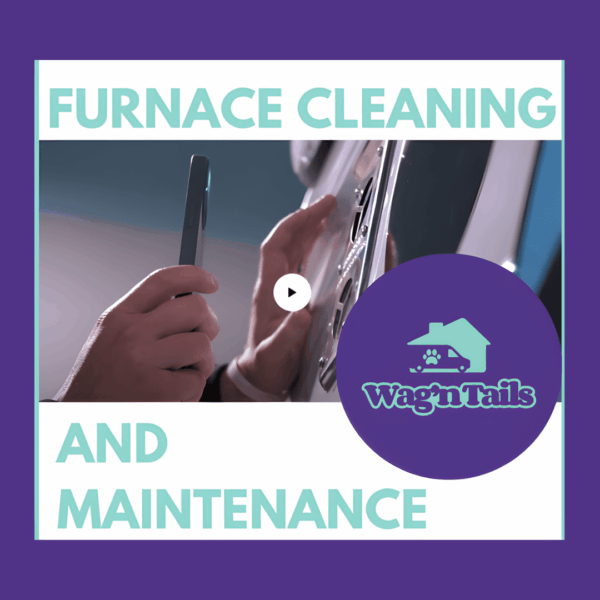 Winterization tips for Wag'n Tails grooming vans