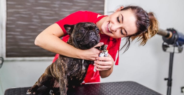 We help mobile pet care professionals be successful.