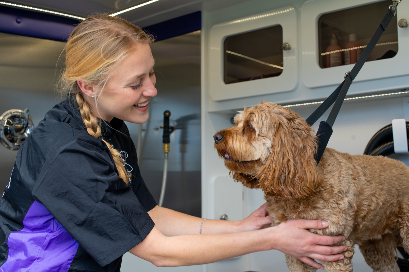 Wag’n Tails Advantage