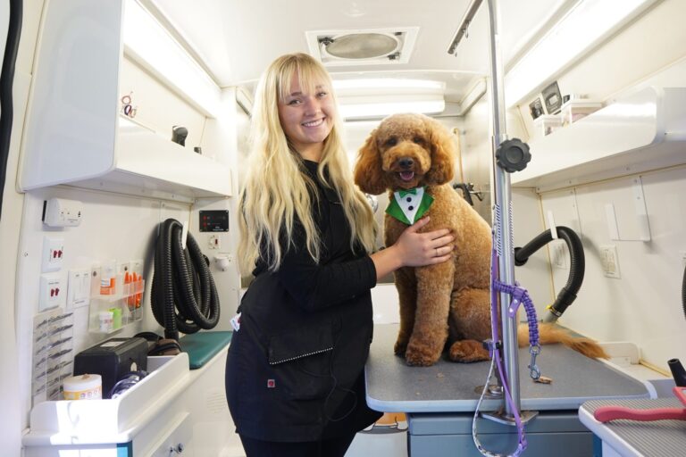 Why Salon Groomers Should Consider Going Mobile