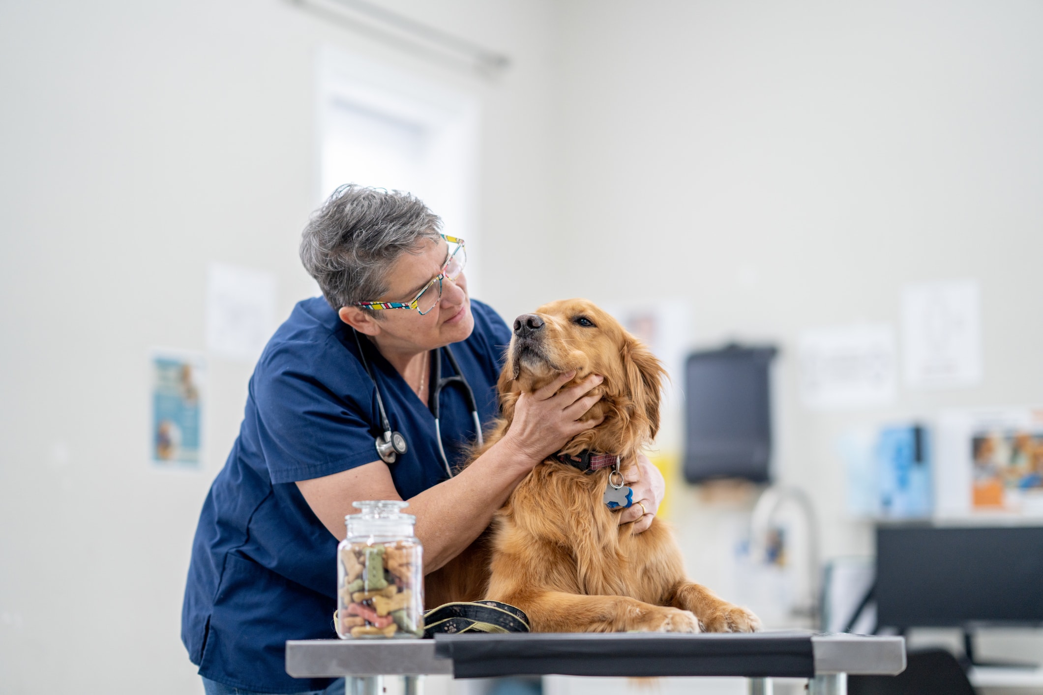 Veterinarian providing gentle, comforting end-of-life care to a pet at home