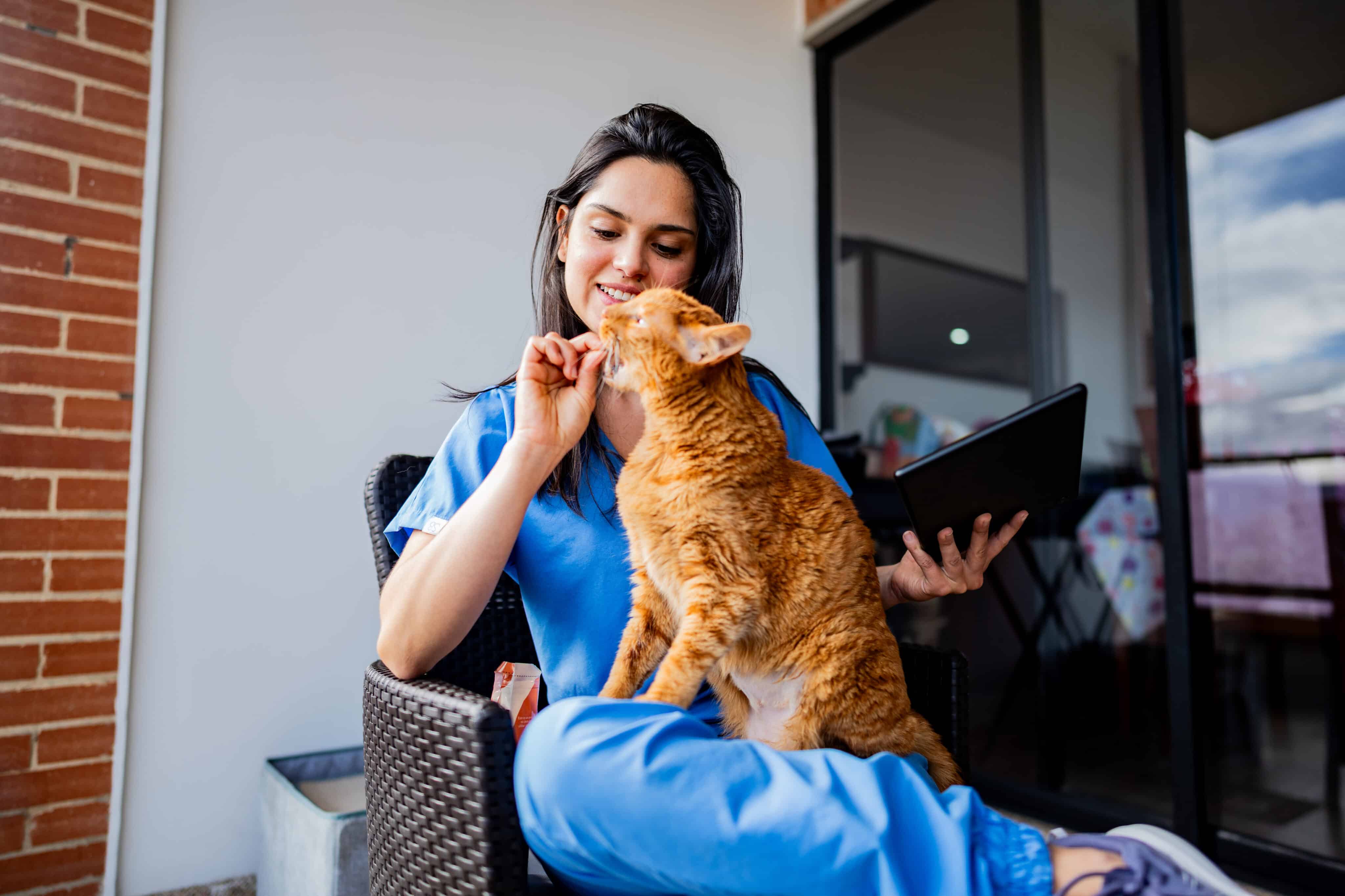 Veterinarian providing mobile veterinary care at a client's home