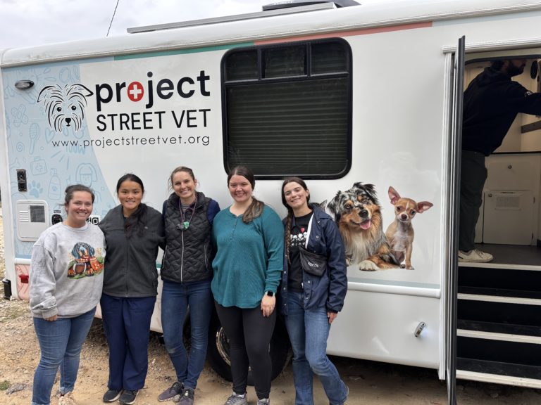 Project Street Vet mobile veterinary van built by Wag'n Tails